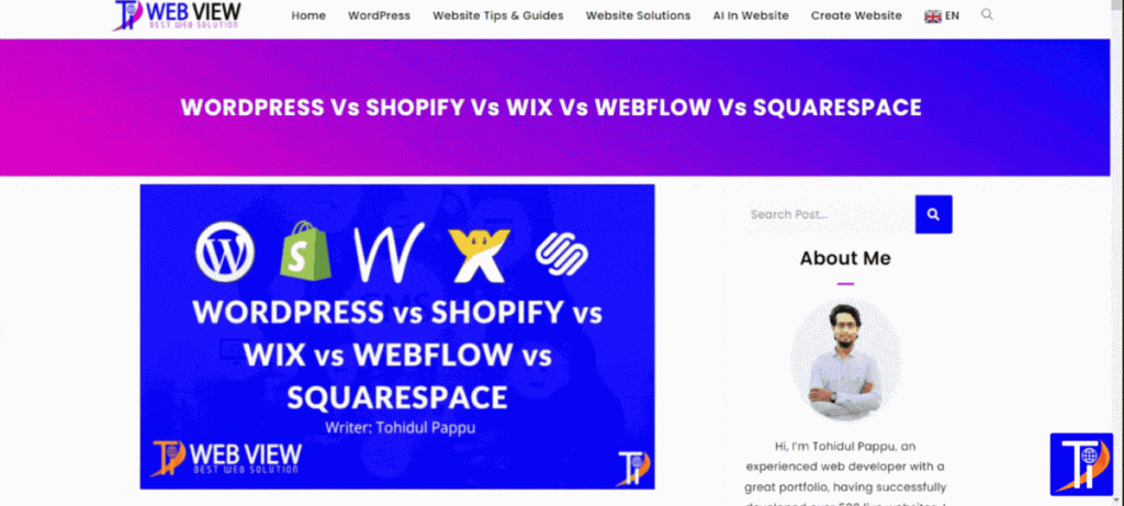 Website multilingual function show in the website img