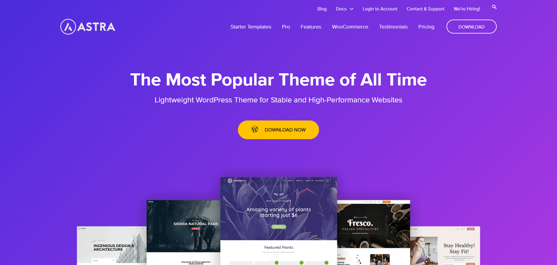 Astra wordpress theme