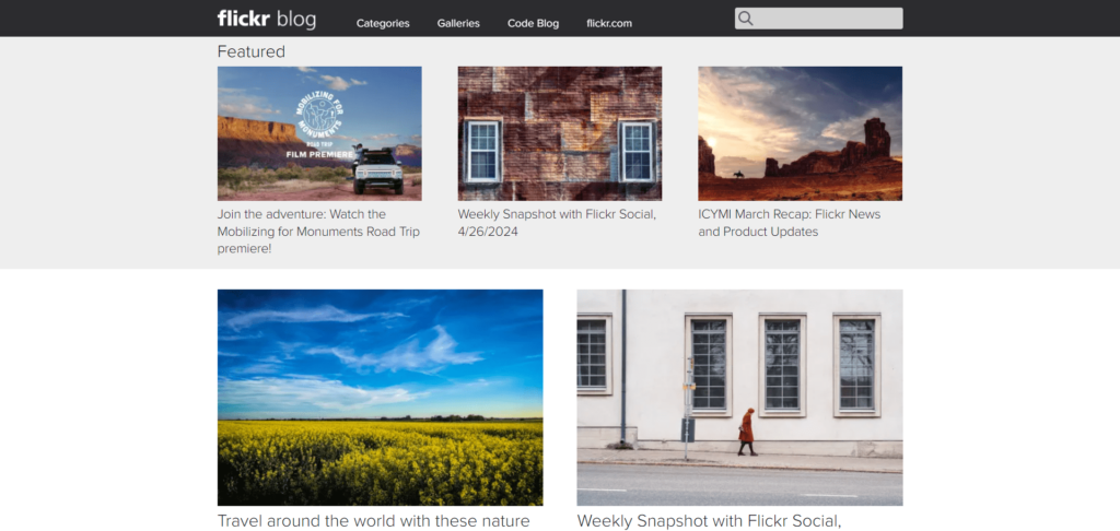Flickr blog wordpress website design tiwebview min Flickr blog website built on WordPress