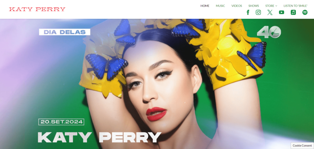 katy parry wordpress website design tiwebview min Katy Perry website built on WordPress
