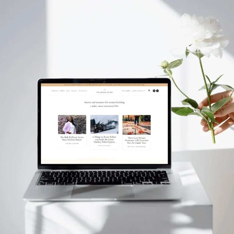 Wellness mom blog site Wellness and mom blog website designed by TIWEBVIEW